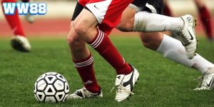 cach-quan-ly-von-cuoc (2)